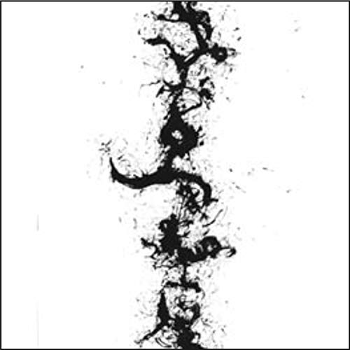 Zorn, John - The True Discoveries of Witches and Demons [CD]