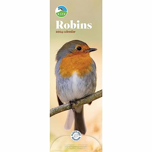 RSPB Robins Slim Calendar 2024