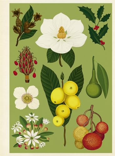 Arboretum Poster Book