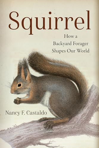 Squirrel : How a Backyard Forager Shapes Our World