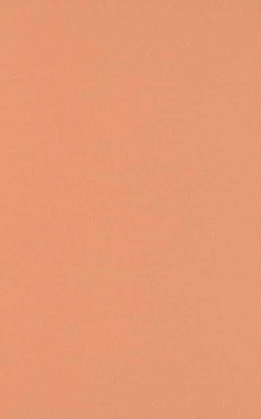 Divas on Screen : Black Women in American Film