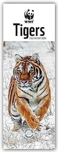 WWF Tigers - Tiger 2024 - Slimline-Kalender: Original Carousel Calendar [Mehrsprachig] [Kalender]