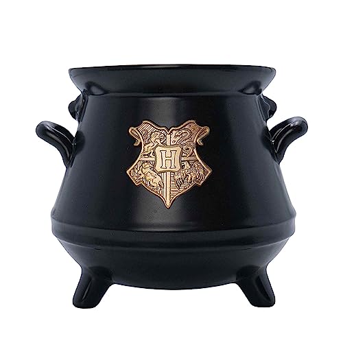 Harry Potter Cauldron 3D Mug