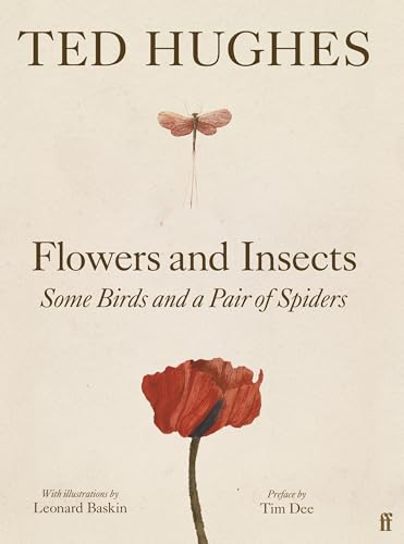 Colourful illustrations of flowers, insects, birds, and spiders in a naturalistic setting together.