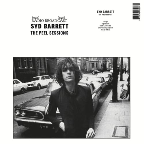 Various - The Peel Sessions [VINYL]