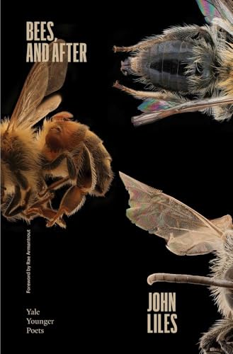 Bees, and After : 119