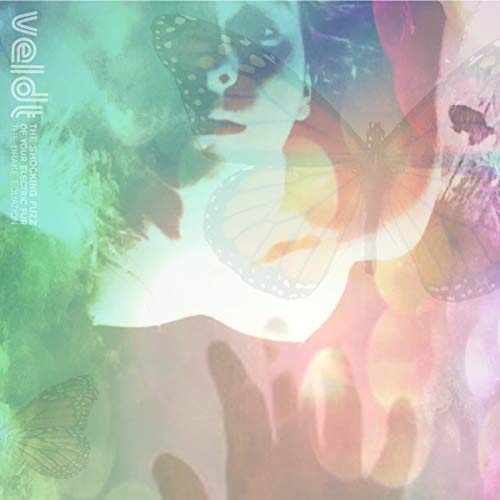 Various - The Shocking Fuzz of Your Electric Fur: The Drake Equation [CD]