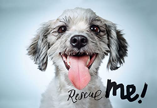 Richard Phibbs: Rescue Me