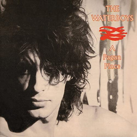 The Waterboys - A Pagan Place [VINYL]