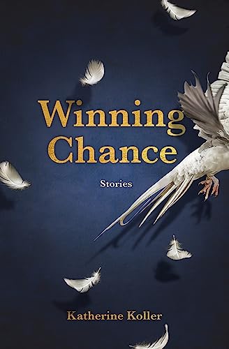 Winning Chance