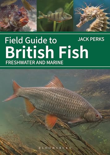 Field Guide to British Fish : Freshwater and Marine