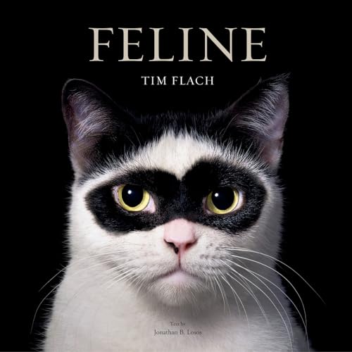 Feline : Photographs