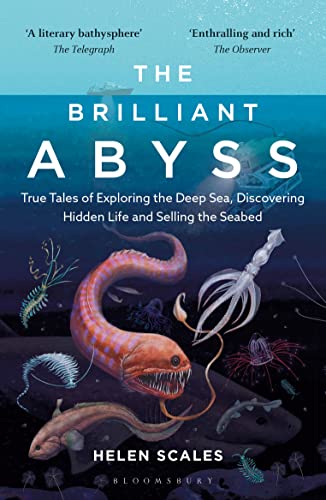 The Brilliant Abyss : True Tales of Exploring the Deep Sea, Discovering Hidden Life and Selling the Seabed