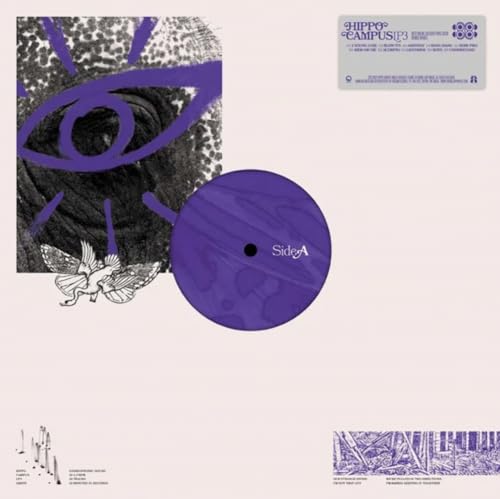 Album cover for Hippo Campus LP3 with an eye, bird, and purple vinyl.