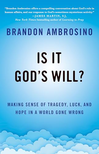 Is It God's Will? : Making Sense of Tragedy, Luck, and Hope in a World Gone Wrong