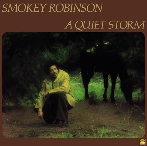 Various - A Quiet Storm [VINYL]