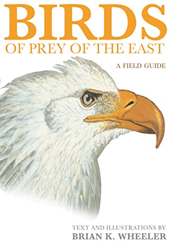 Hawks of the Eastern USA and Canada