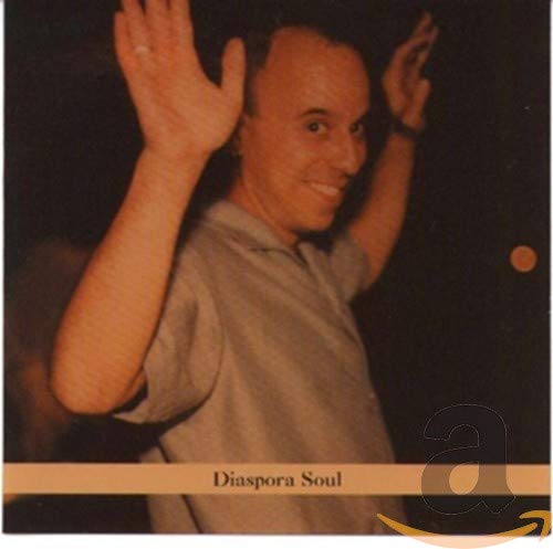 Steven Bernstein - Diaspora Soul [CD]