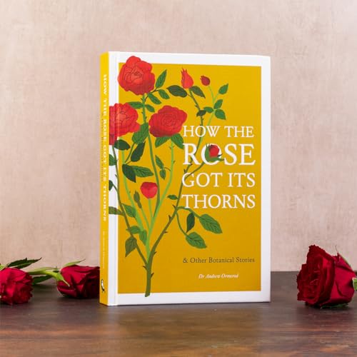How the Rose Got Its Thorns
