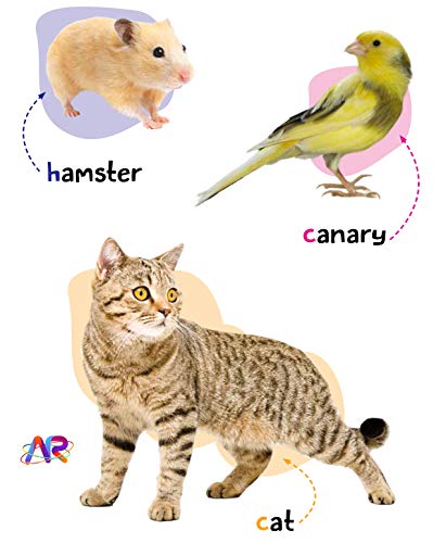 My Book of Animals
