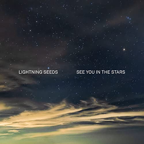 Lightning Seeds - See You In The Stars [VINYL]