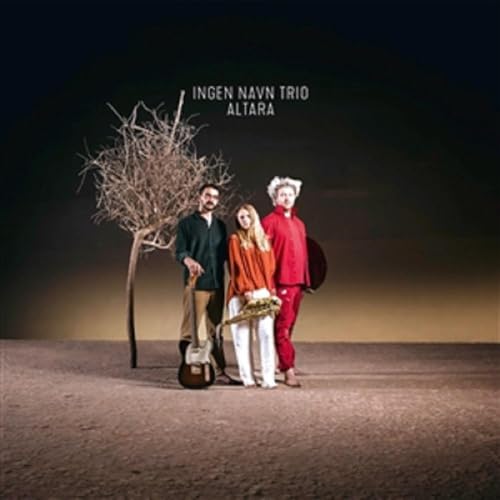 Ingen Navn Trio - Altara [VINYL]