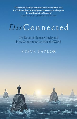 Book cover titled DisConnected by Steve Taylor featuring silhouettes standing on rocks in water.
