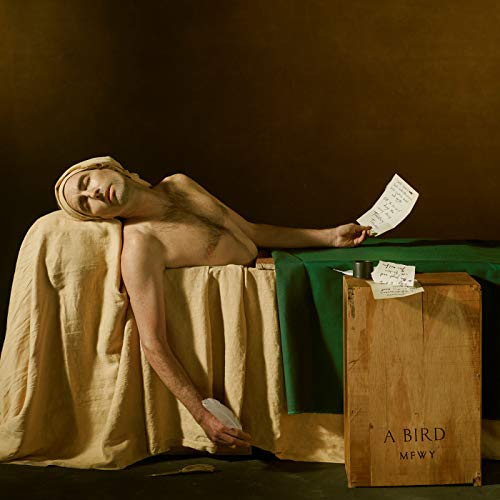Bird Andrew - My Finest Work Yet (lp) [VINYL]
