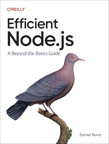 Efficient Node.js : A Beyond The Basics Guide