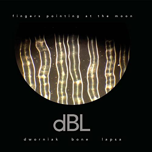 Dworniak Bone Lapsa - Fingers Pointing At The Moon [CD]