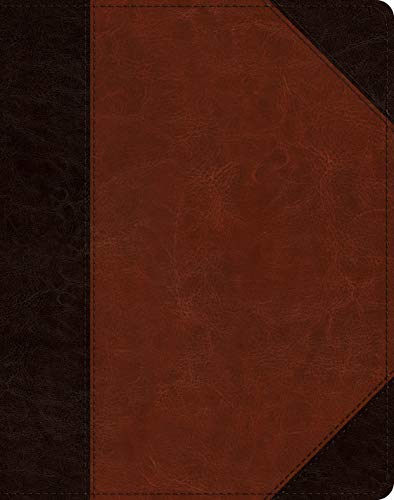 ESV Single Column Journaling Bible