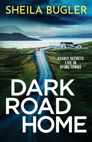 Dark Road Home : A tense and gripping Irish crime thriller