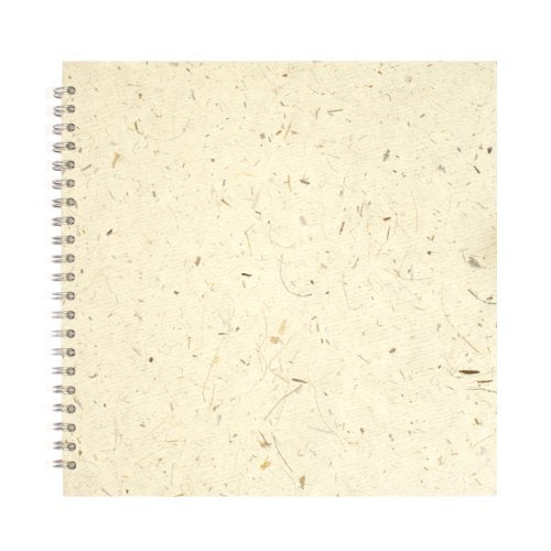 11x11 Posh Black Display 25lvs Natural Banana