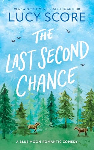 The Last Second Chance : A Small Town Enemies to Lovers Romcom