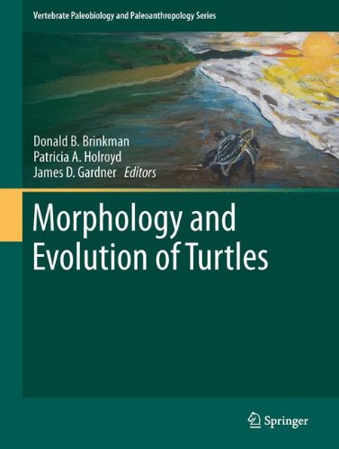 Morphology and Evolution of Turtles (Vertebrate Paleobiology and Paleoanthropology)