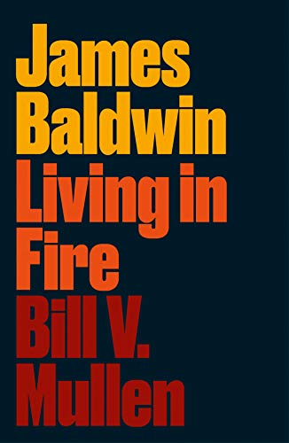 James Baldwin: Living in Fire (Revolutionary Lives)