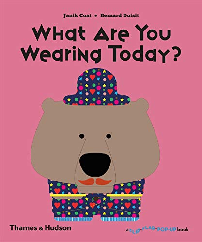 What Are You Wearing Today? (A Flip Flap Pop Up Book): 0