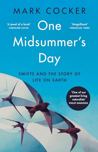 One Midsummers Day