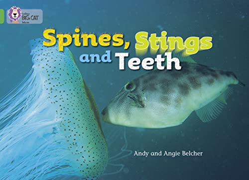 Spines, Stings and Teeth: A powerful non-fiction report about how animals survive at sea. (Collins Big Cat)