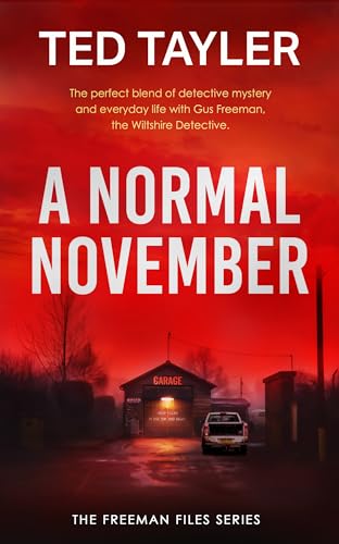 A Normal November : A Cold Case Murder Mystery Series