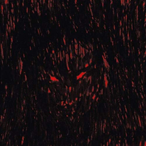 Dj Richard - Dies Irae Xerox [CD]