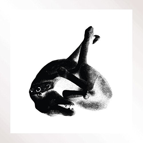 Patricia - Several Shades Of The Same Color [VINYL]