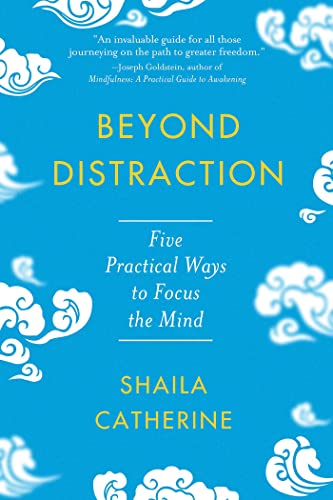 BEYOND DISTRACTION