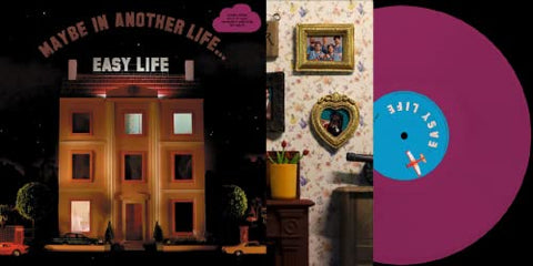 hard life - MAYBE IN ANOTHER LIFE... [VINYL]