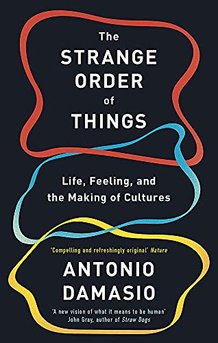 The Strange Order Of Things: Life, Feeling and the Making of Cultures