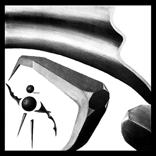 Erdmann,carl - Bizzarrophytes [VINYL]