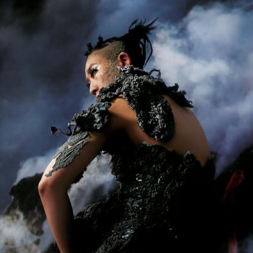 33emybw - Holes Of Sinian [VINYL]