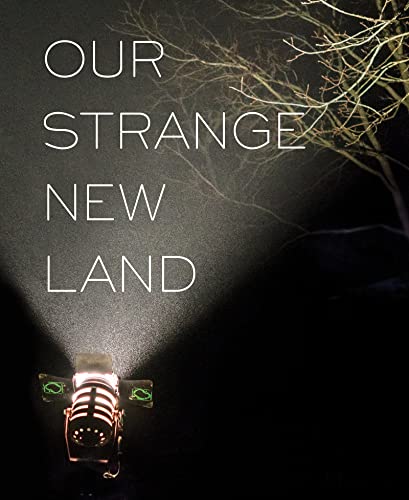 Our Strange New Land : Photographs from Narrative Movie Sets Across the South