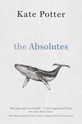The Absolutes : a profound exploration of grief told through fragments of memory