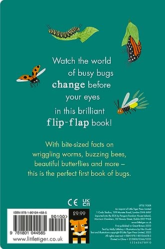 Bees & Beetles: A Flip-Flap Book of Bugs : A Flip-Flap Book of Bugs